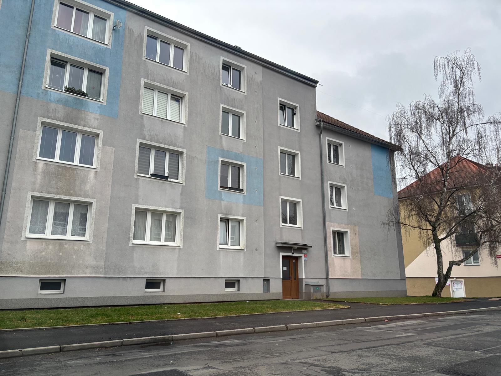 3+1 Cheb, Pastýřská – Náhled 8